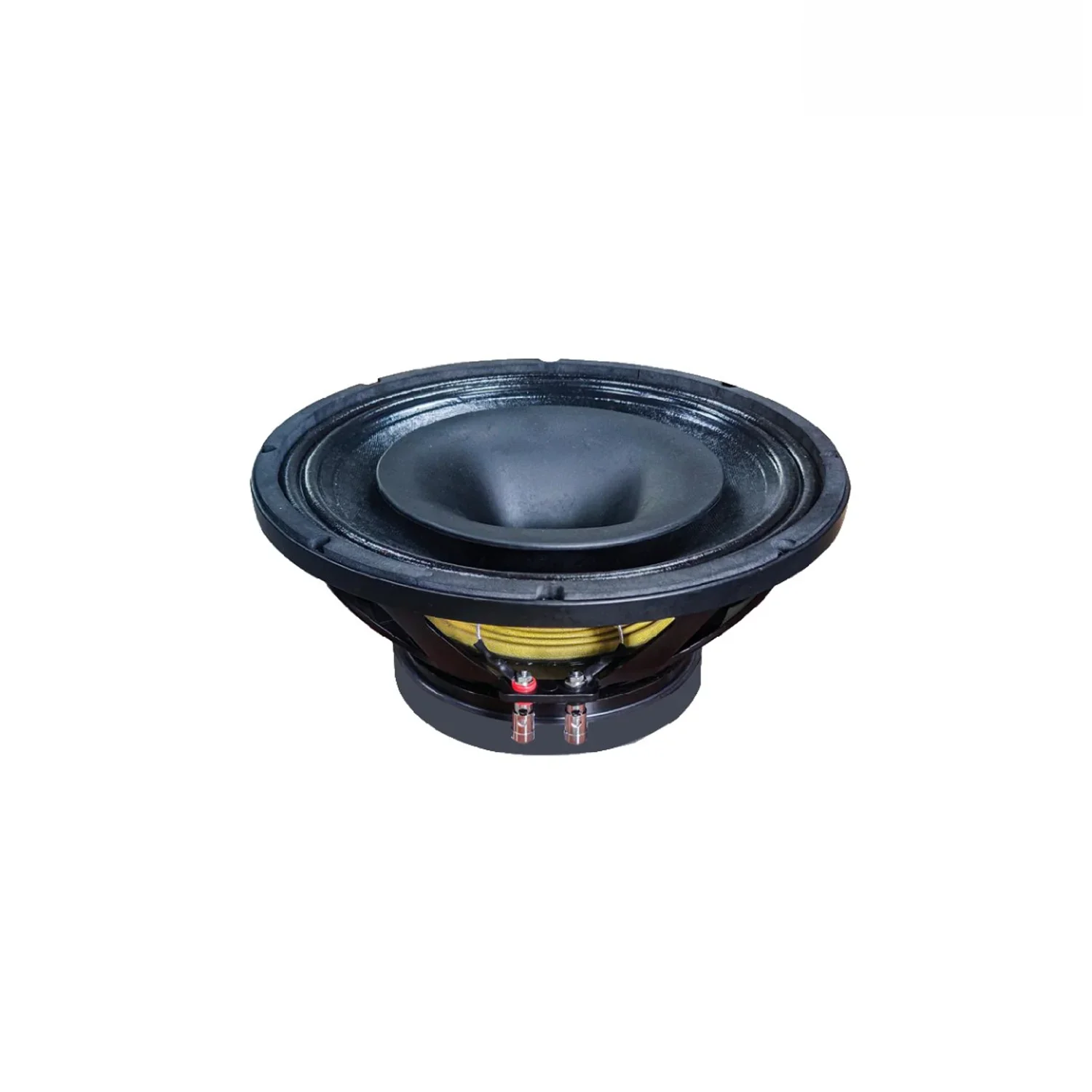 Klangmeister 12CX75 12" 350W AES 700W Program 8Ω Titanyum Koaksiyel Hoparlör
